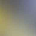 ghee