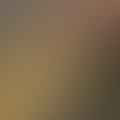 light brown sugar