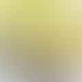Lemon Juice