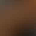 cinnamon