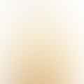 Condensed milk
