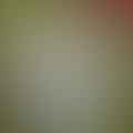 cornstarch