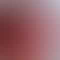 red bean paste
