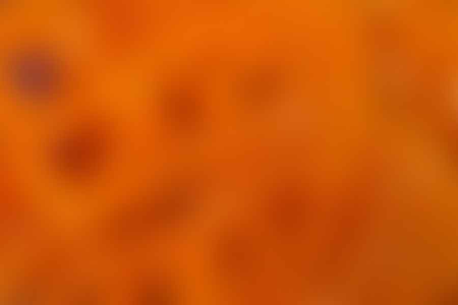 Jalebi sweet
